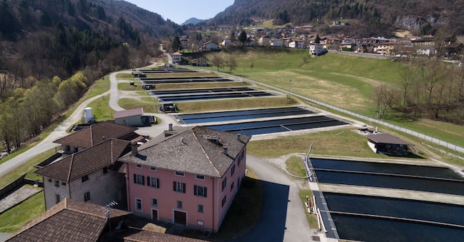 Vasche per l’allevamento di trote