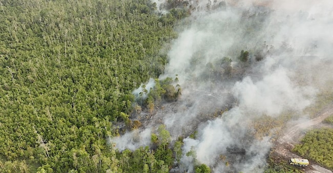  Una foto aerea fornita dall’Agenzia nazionale indonesiana per la mitigazione dei disastri (BNPB) mostra una densa colonna di fumo che si alza da un incendio boschivo divampato in una zona torbosa a Bulungan, nella provincia del Kalimantan Settentrionale, in Indonesia, il 21 agosto 2026. Gli incendi diffusi che interessano terreni e torbiere stanno causando livelli di qualità dell’aria insalubri e cieli velati in tutta la regione, compresa la vicina Malesia.  EPA/BNPB / FOTO FORNITA  FOTO FORNITA SOLO PER USO EDITORIALE/NON DESTINATA ALLA VENDITA EPA