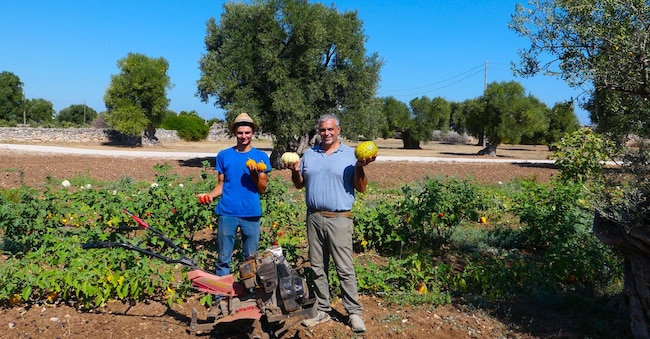  Il progetto agro alimentare di Schingaro e Giordano