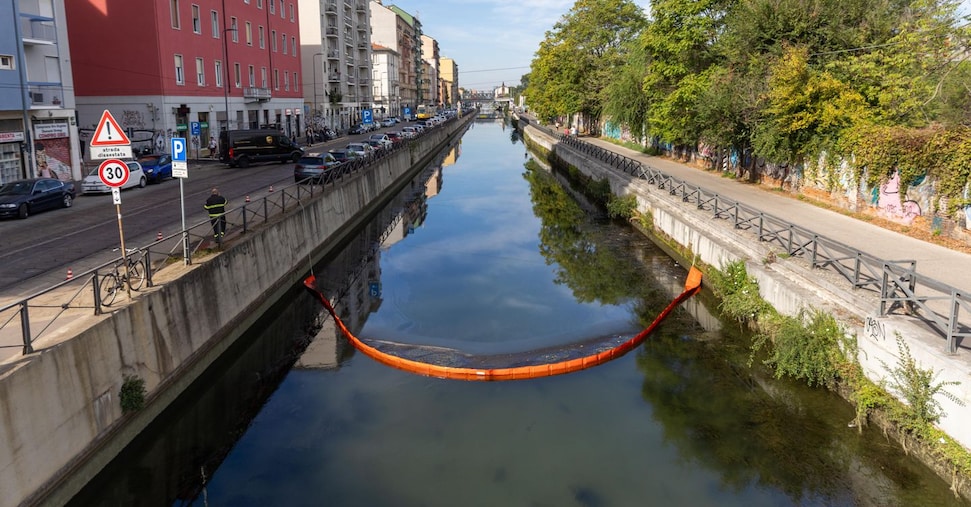 sversamento di idrocarburi nei navigli a milano danni pesanti all8217ambiente e alla fauna da Ilsole24ore.com sversamento di idrocarburi nei navigli a milano danni pesanti all8217ambiente e alla fauna