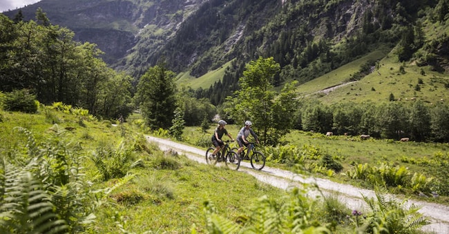 Carinzia Millstätter See–Bad Kleinkirchheim–Nockberge