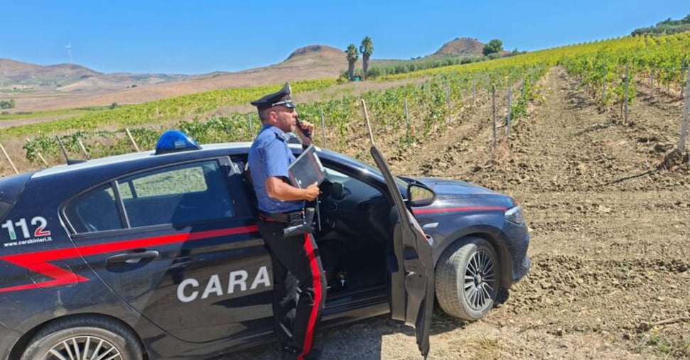 Muore incastrato in un macchinario per la raccolta dell’uva nel Trapanese