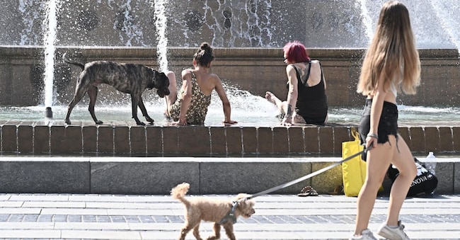 L’estate 2026 è stata la più calda in Italia dal 1950 ANSA