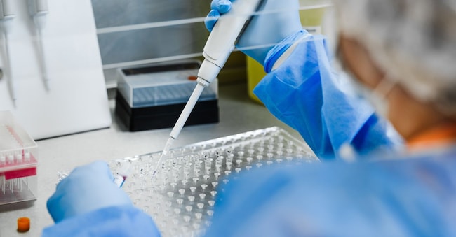 Isolation of cord blood nucleated cells, transfer of doses of final products to cryogenic containers for cryopreservation and long-term storage stock_alexfamous - stock.adobe.com