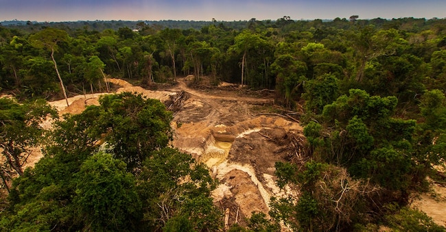 La deforestazione nella zona di Parà in Amazzonia. Dal 30 dicembre grandi  e medie imprese dovranno applicare il regolamento Eudr. Focus sulla catena di fornitura di sette materie prime  (Adobe Stock)