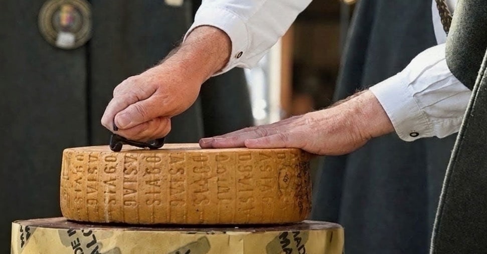Arriva l’Asiago Dop di Montagna invecchiato 10 anni, formaggio da 400 euro al chilo Arriva l’Asiago Dop di Montagna invecchiato 10 anni, formaggio da 400 euro al chilo