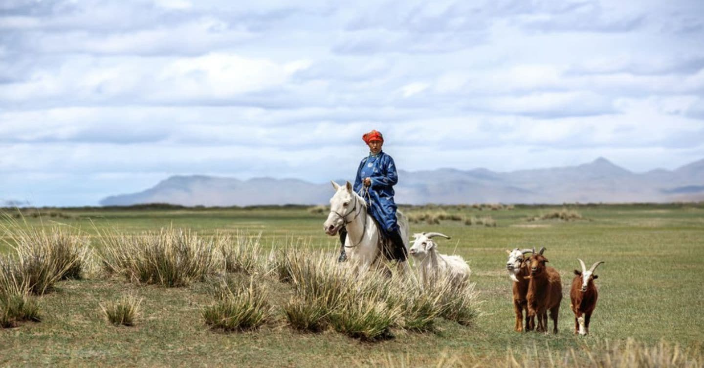 L’impegno di Loro Piana per i pastori nomadi della Mongolia