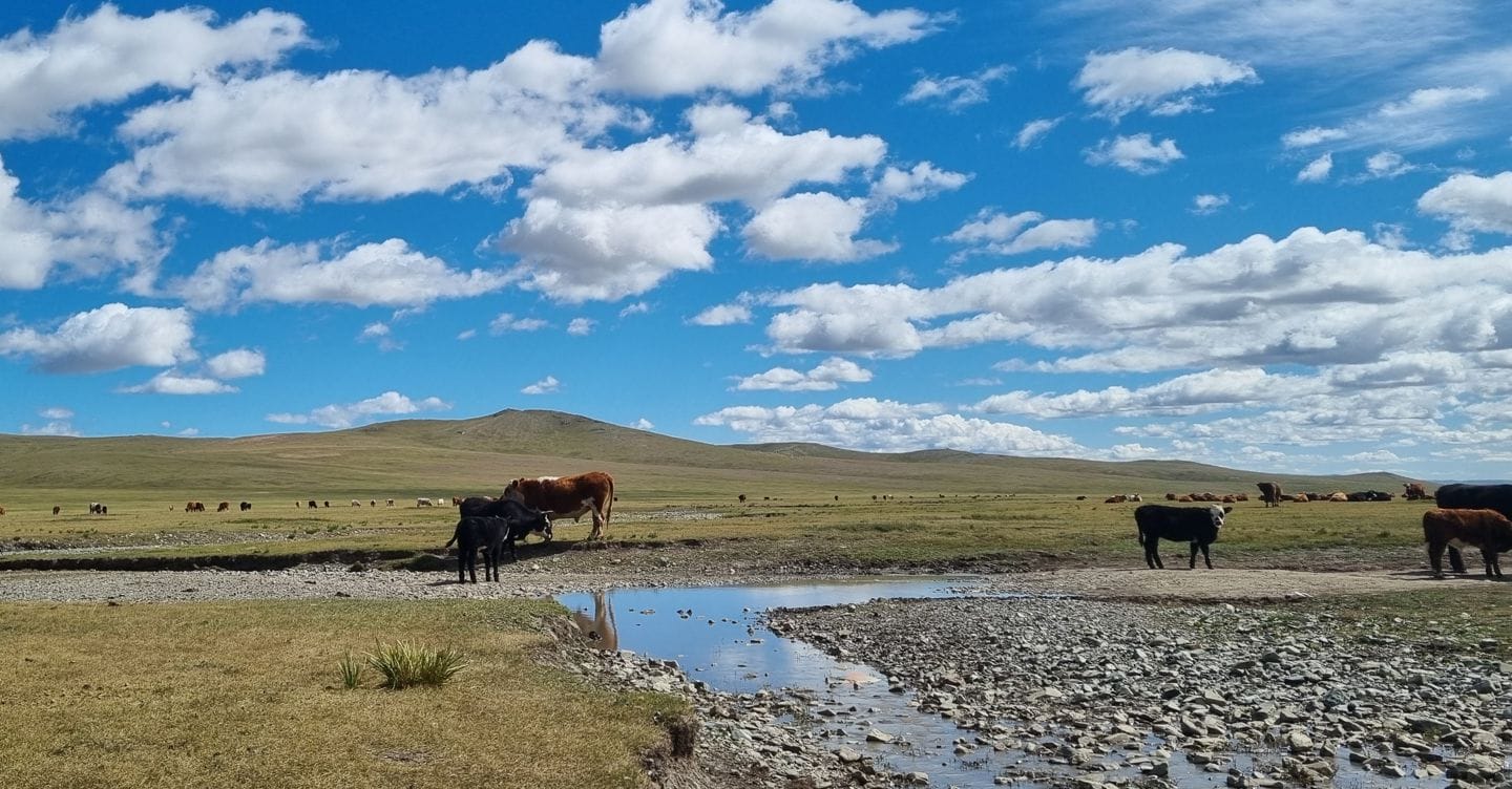 Mongolia libera e immacolata: cieli, orizzonti e silenzi infiniti Mongolia libera e immacolata: cieli, orizzonti e silenzi infiniti