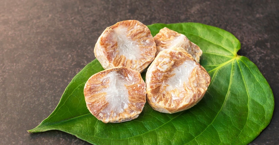 Uso millenario della noce di betel: tracce di sostanze psicoattive su denti umani di 6.300-25.000 anni fa