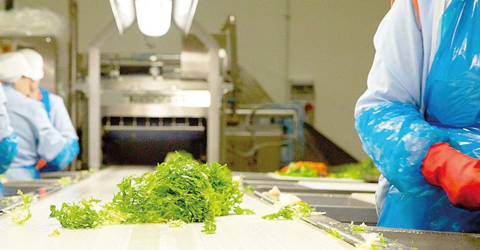 Poche insalate in busta nei supermercati: ecco perché rischia di non essere un caso isolato Poche insalate in busta nei supermercati: ecco perché rischia di non essere un caso isolato