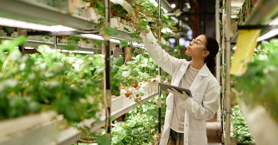 Foodtech Incubator, al via la call per 10 start up ad alto potenziale dell’agroalimentare Foodtech Incubator, al via la call per 10 start up ad alto potenziale dell’agroalimentare