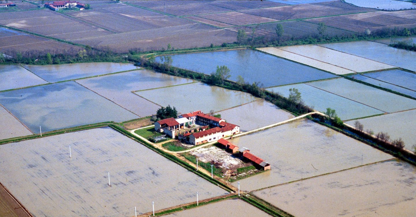 https://i2.res.24o.it/images2010/S24/Documenti/2026/09/18/Immagini/Ritagli/risaia-FOTOGRAMMA-U14440662333fkP-1440x752@IlSole24Ore-Web.jpg