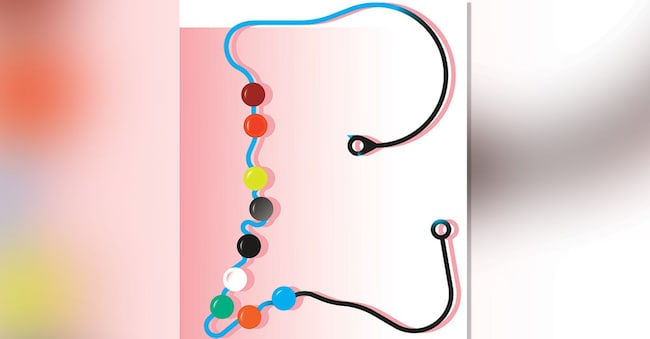 Illustraizione di Chiara Morra