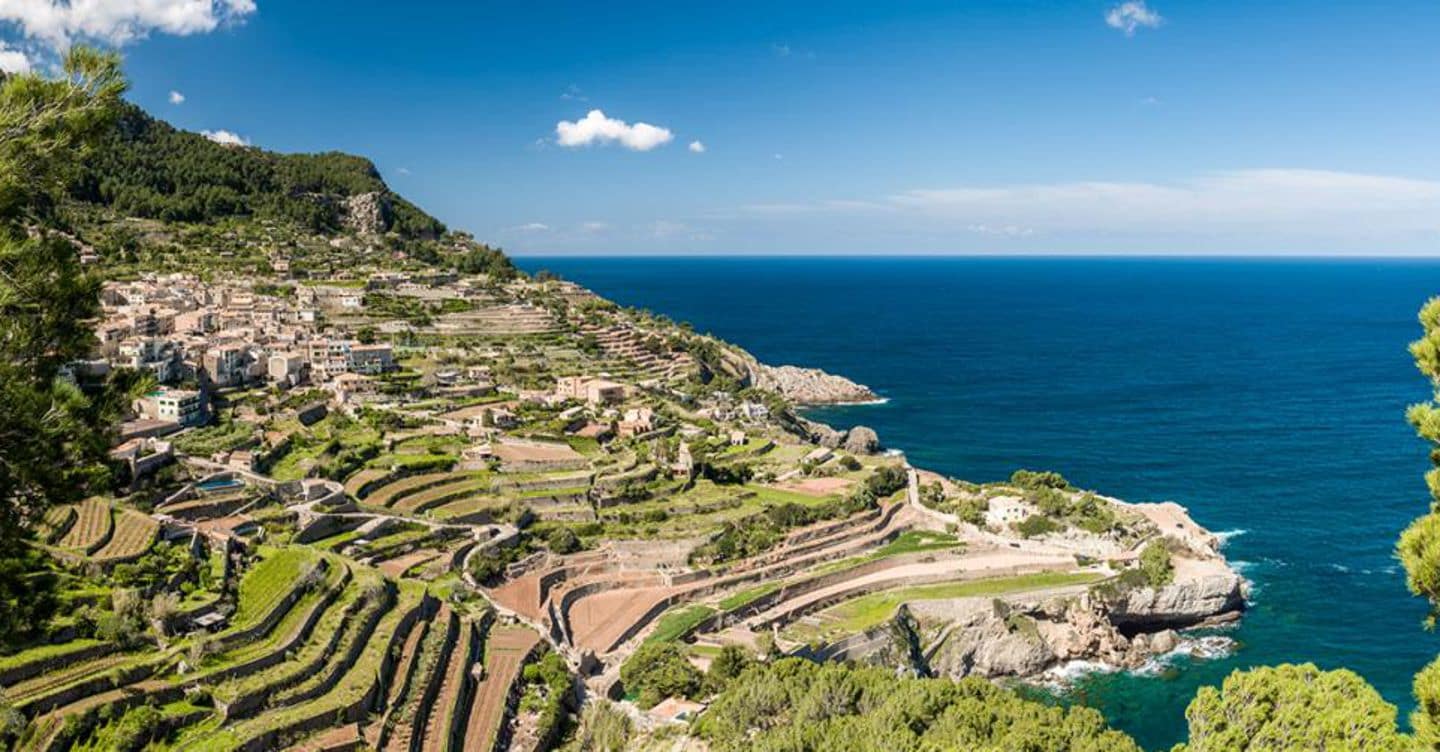 Colori e sapori d’autunno a Maiorca poc a poc Colori e sapori d’autunno a Maiorca poc a poc