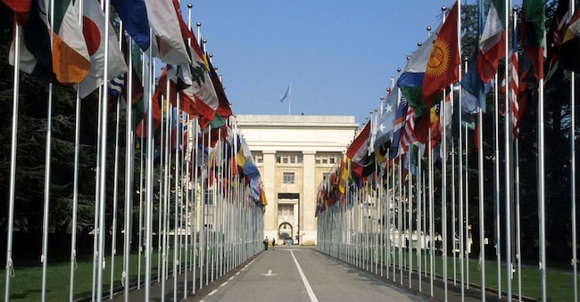 PALAZZO  NAZIONI  UNITE  ONU  BANDIERE  SEDE IMAGOECONOMICA