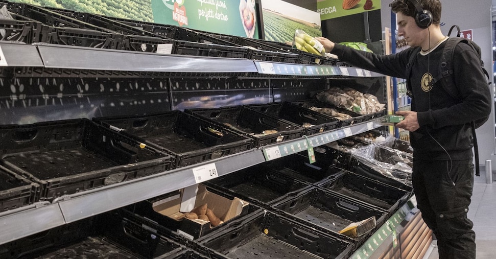 AAA cercasi insalata e pomodori sugli scaffali dei supermercati AAA cercasi insalata e pomodori sugli scaffali dei supermercati