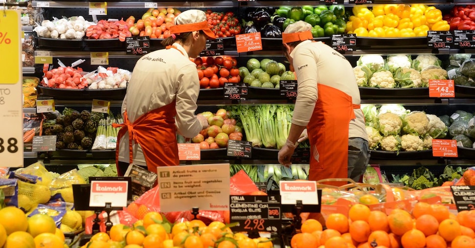 Ortofrutta: Cile e kiwi al centro della prossima edizione del Macfrut