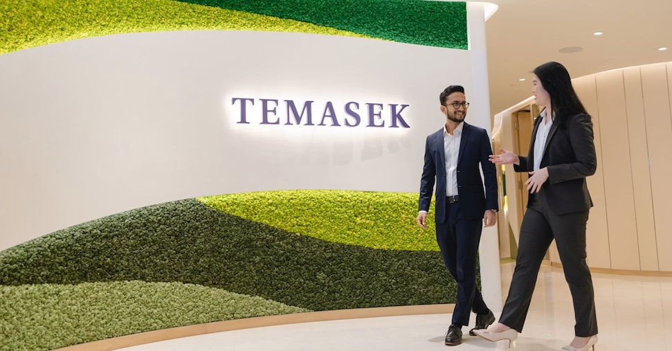 Il fondo Temasek di Singapore sbarca in Fsi