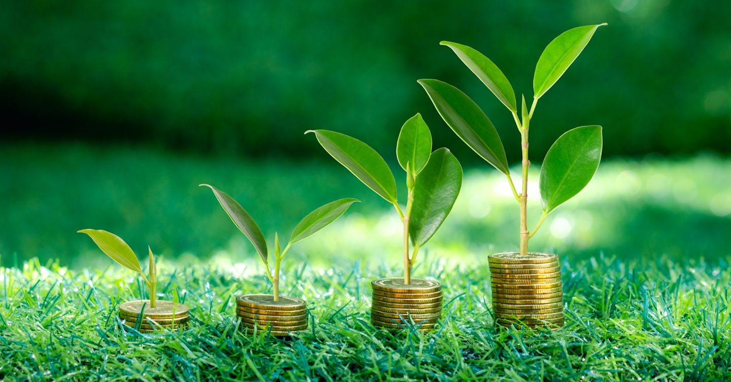 «Greenwashing? Essere una società Benefit non mette al riparo dalle sanzioni» «Greenwashing? Essere una società Benefit non mette al riparo dalle sanzioni»