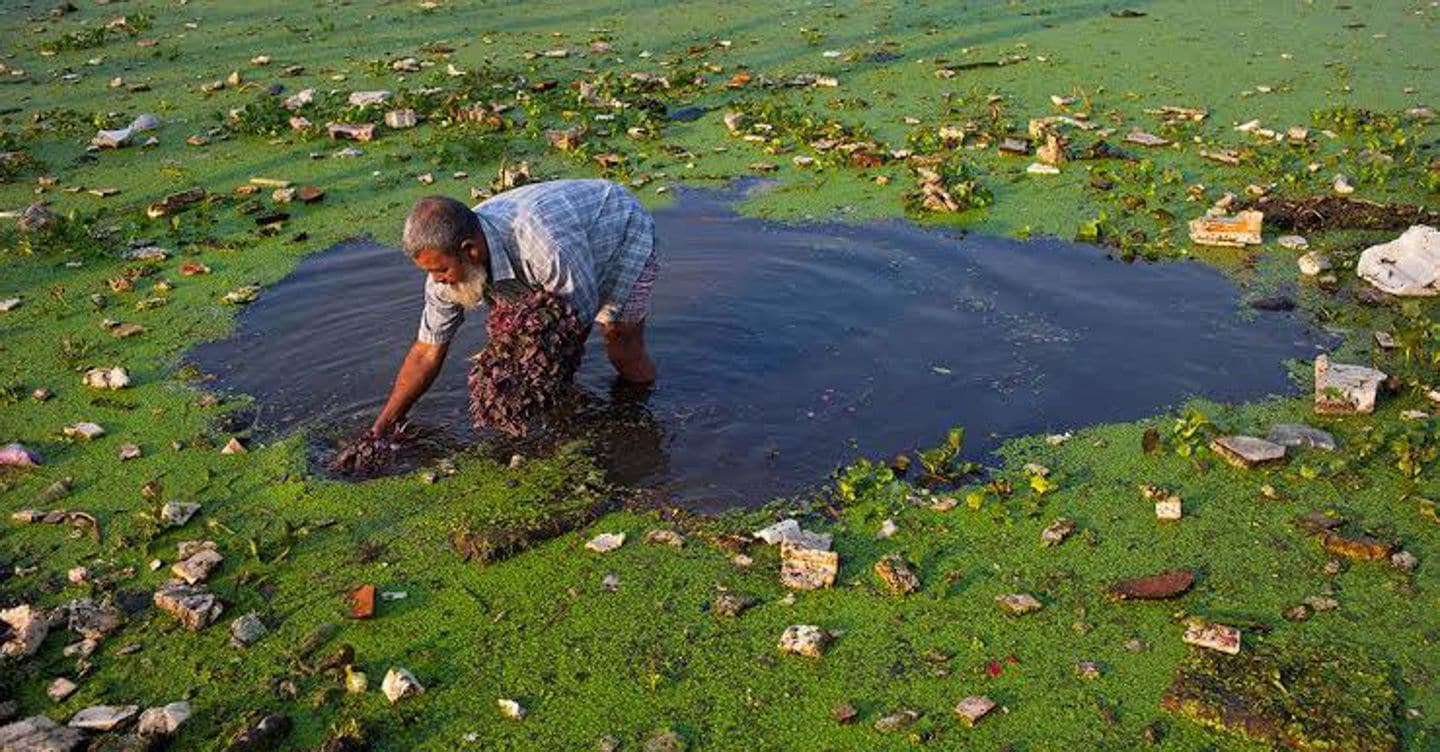 Immagine associata alla notizia: La sostenibilità come investimento: la strategia di Kering punta sull’acqua