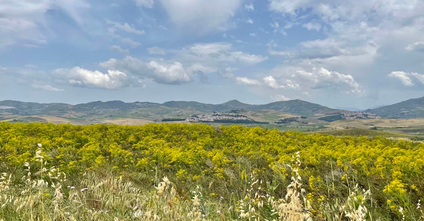 Paesaggi e memoria tra il mare del Trapanese e la terra della Valle Del Belice