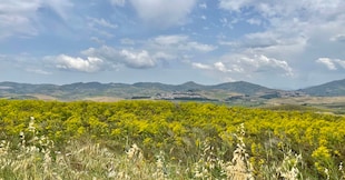 Paesaggio Valle del Belice (© Erika Scafuro)