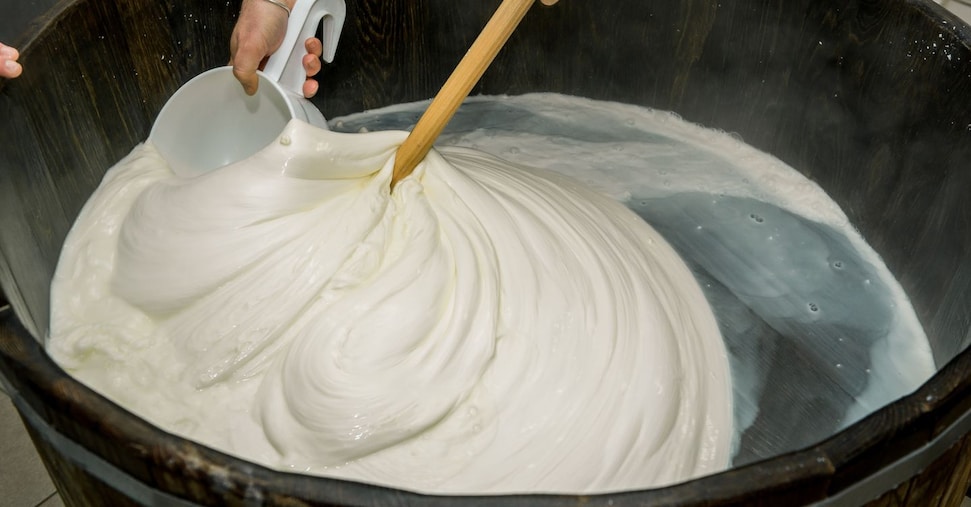 Latte di bufala e derivati (come la Mozzarella campana Dop): nasce il Registro unico per la tracciabilità