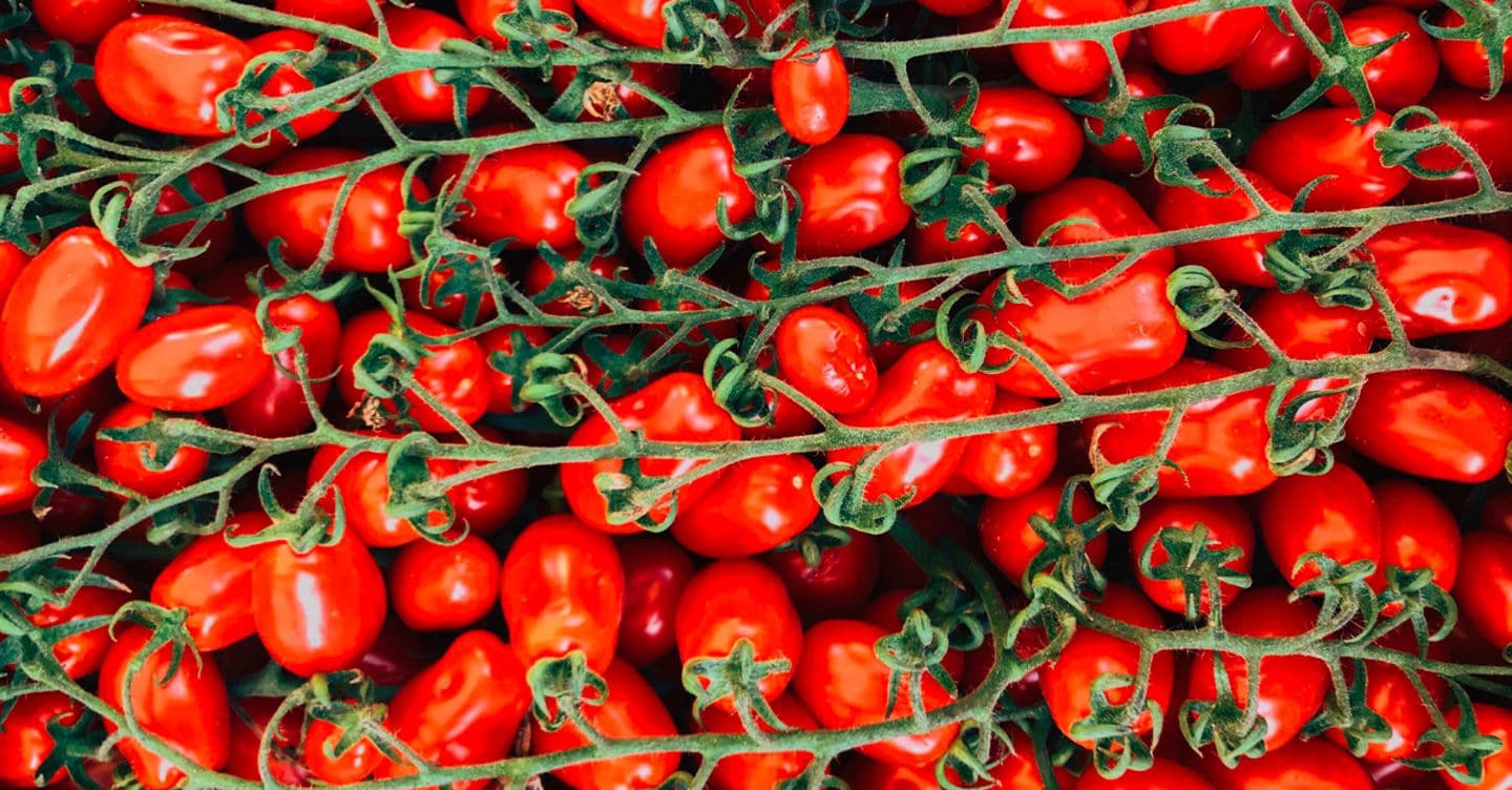Pomodori datterini, il prezzo è raddoppiato: 5,80 euro al chilo all’ingrosso per l’effetto clima e costi