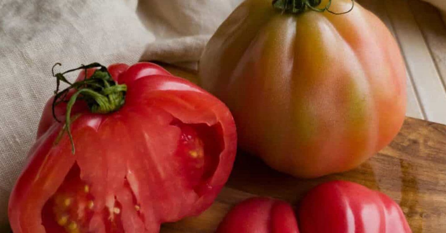 Inflazione, il caso dei prezzi raddoppiati per i pomodori datterini: 5,80 euro al chilo all’ingrosso