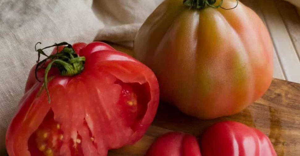 inflazione il caso dei prezzi raddoppiati per i pomodori datterini 580 euro al chilo all8217ingrosso da Ilsole24ore.com inflazione il caso dei prezzi raddoppiati per i pomodori datterini 580 euro al chilo all8217ingrosso