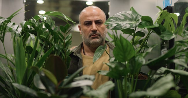 Il Film “Un po’ di luce”