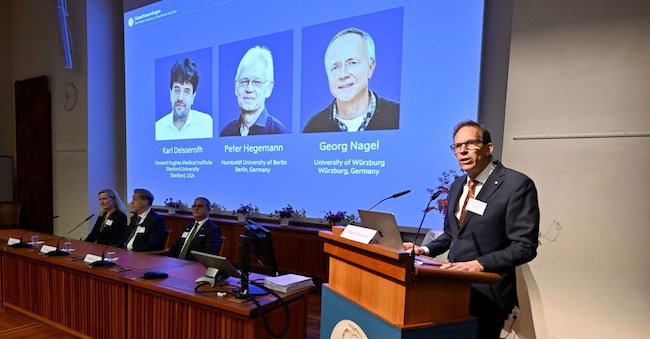 Karl Deisseroth, Peter Hegemann e Georg Nagel sono stati insigniti del Premio Nobel per la Fisiologia o la Medicina 2026, come annunciato durante una conferenza stampa tenutasi al Nobel Forum presso l’Istituto Karolinska di Stoccolma, in Svezia, il 5 ottobre 2026. Agenzia di stampa TT/Pontus Lundahl/via REUTERS      ATTENZIONE REDATTORI - QUESTA IMMAGINE È STATA FORNITA DA UNA TERZA PARTE. SVEZIA ESCLUSA. VIETATA LA VENDITA COMMERCIALE O EDITORIALE IN SVEZIA. VIETATA LA RIVENDITA. VIETATO L'ARCHIVIO. via REUTERS