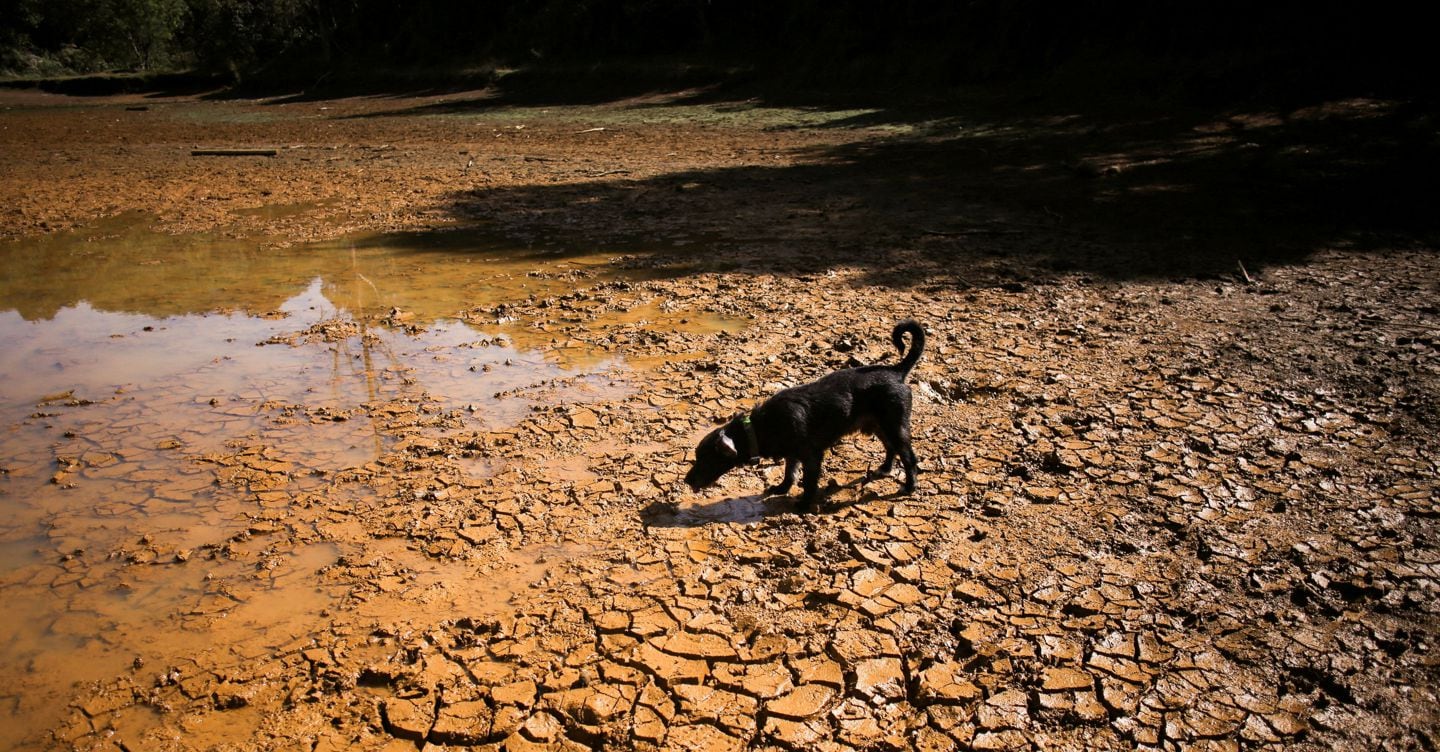 El Niño, l’Onu: picco a dicembre, potrebbe essere uno dei più forti dal 1950