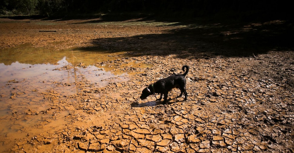 El Niño, l’Onu: picco a dicembre, potrebbe essere uno dei più forti dal 1950