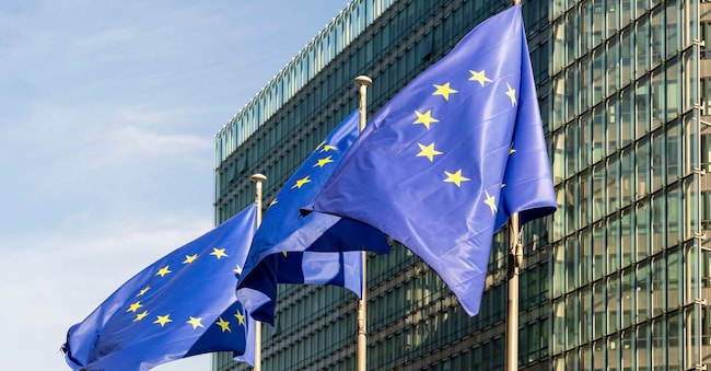 European Union flags flap in the wind ahead of an EU summit in Brussels, Thursday, June 27, 2024. European Union leaders are expected to discuss the next EU top jobs, as well as the situation in the Middle East and Ukraine, security and defence and EU competitiveness. (AP Photo/Geert Vanden Wijngaert) AP