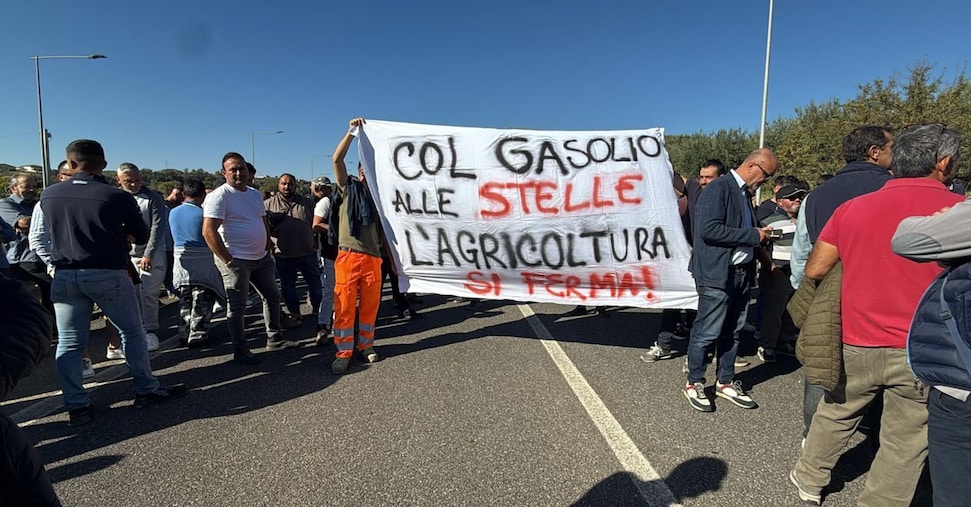 agricoltori calabresi in piazza la crisi 232 anche colpa di hormuz