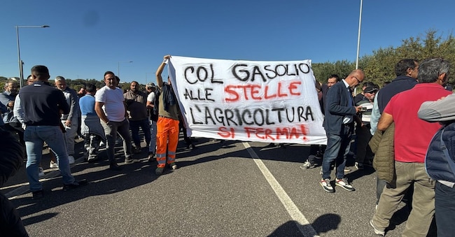 La mobilitazione "L'Italia scende in piazza", promossa contro il caro carburante e la crisi del settore agricolo dal Movimento popolare nazionale insieme a Popolo di Calabria, Movimento territorio e agricoltura, Gda Associazione Tutela Agricoltori, Gruppo agricoltori del Crotonese e Comitati riuniti agricoli - Cittadini italiani, Cosenza, 28 settembre 2026. ANSA/LUIGI SALSINI ANSA