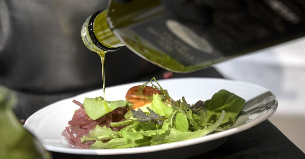 Olio, la ripresa della produzione spagnola affossa l’extravergine italiano: prezzo giù del 47%