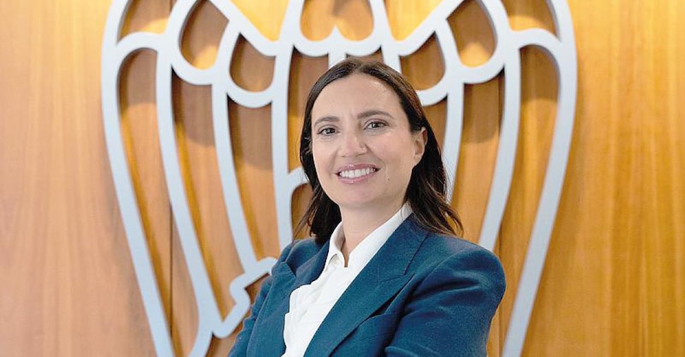 «Sull’IA un Piano e una Zes per favorire gli investimenti» «Sull’IA un Piano e una Zes per favorire gli investimenti»