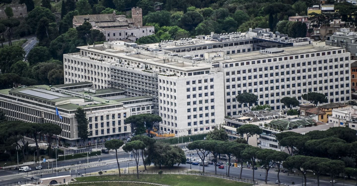 Innovazione alimentare, le tre strade dell’Enea per nuovo cibo e riduzione dello spreco