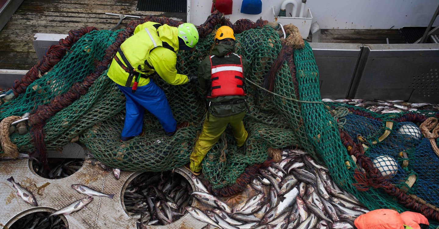 Pesca sostenibile, il 78% degli italiani vuole più informazioni sul prodotto