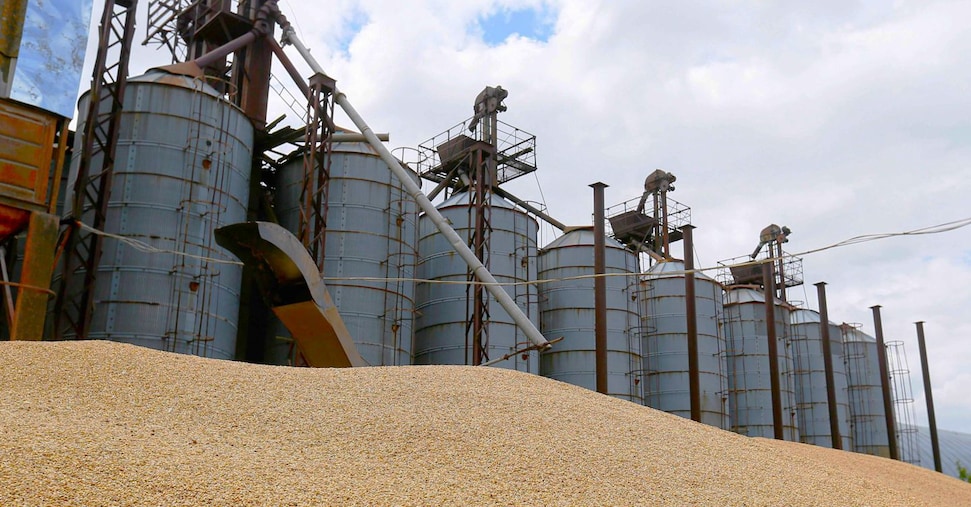 Puglia, coi blocchi del trasporto a rischio la filiera del grano