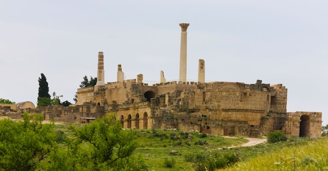 Rovine romane dell'anfiteatro di Uthina, Tunisia (Alamy Stock Photo)