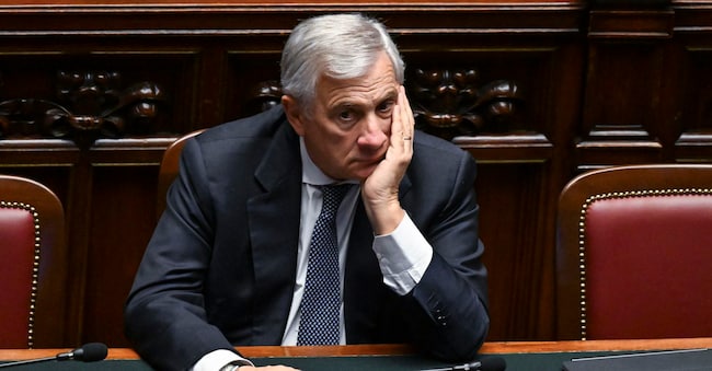 ANSA/RICCARDO ANTIMIANI ANSA