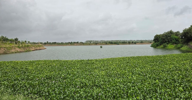 Uno dei 169 laghi creati dalla Dholakia Foundation nell’ambito del progetto Mission River nello Stato del Gujarat