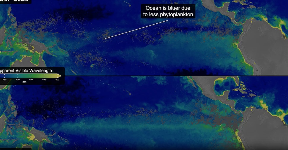 L’Oceano Pacifico è sempre più blu, ma non è un buon segnale