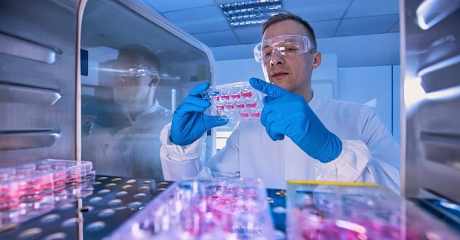 Laboratorio di ricerca IMAGOECONOMICA