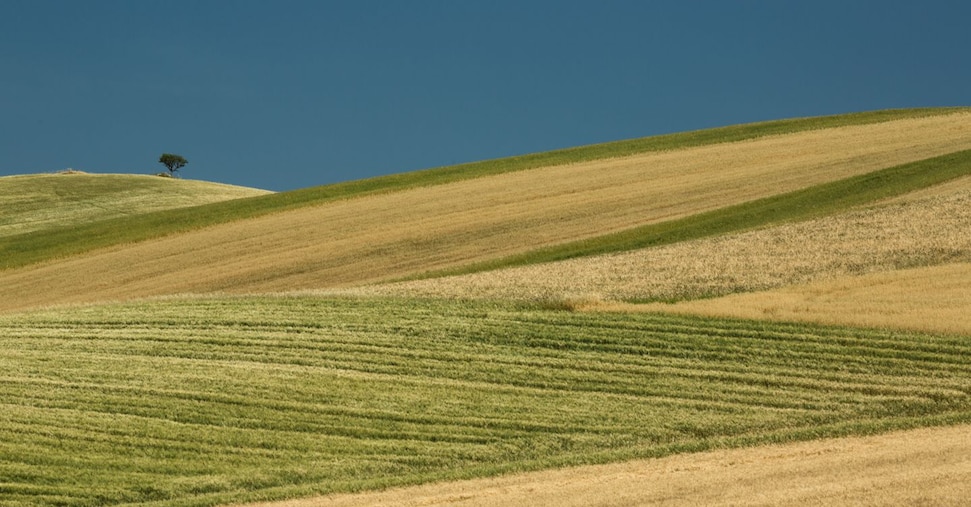 Non si ferma il consumo di suolo agricolo, nel 2025 nuova accelerazione del 20%