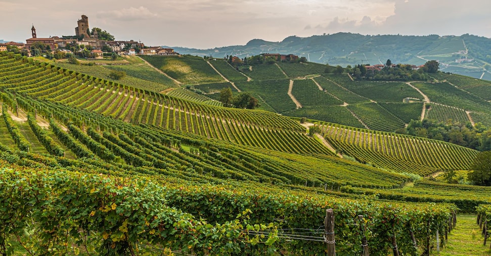 Enoturismo, per crescere servono più punti di contatto tra domanda e offerta. Linea diretta Germania-Toscana