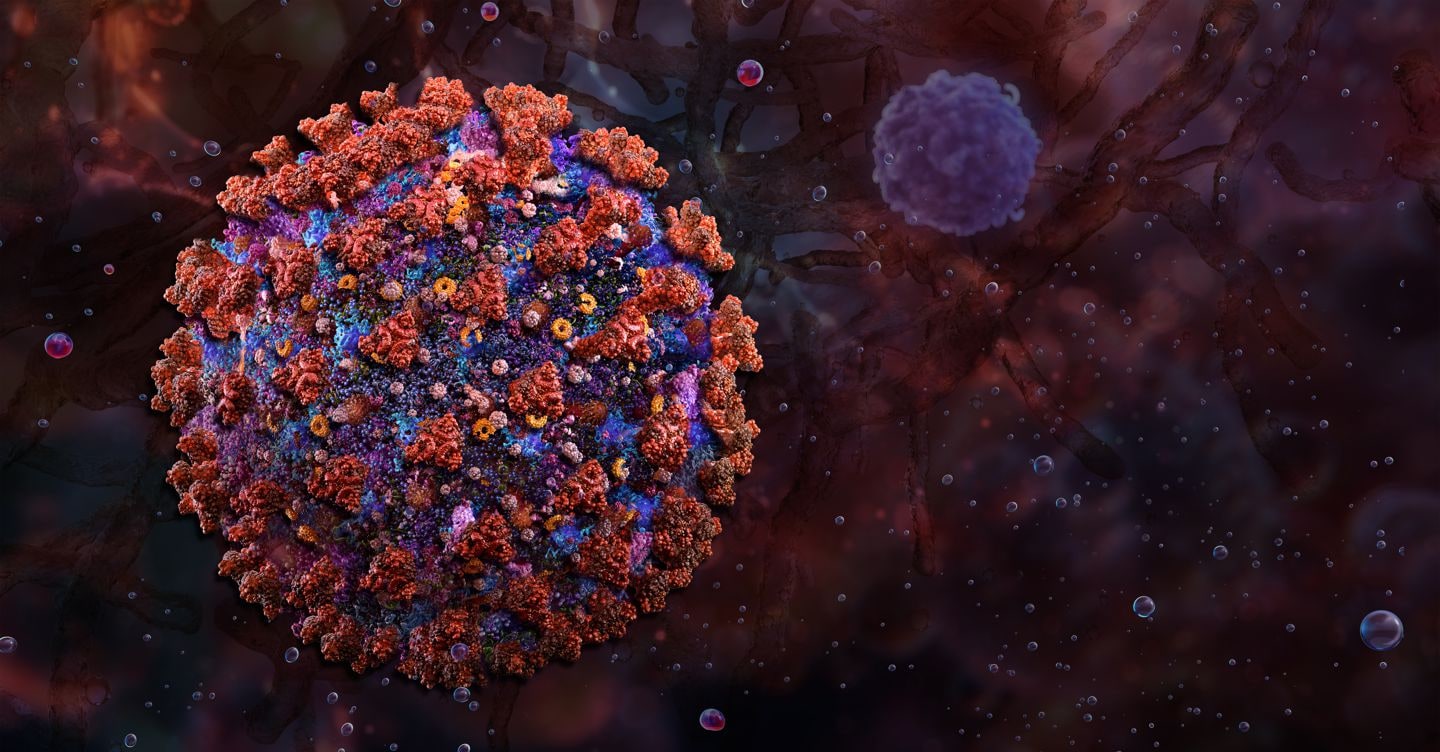Virus Shamonda, il ministero della Salute: «Ad oggi non ci sono casi umani in Italia»